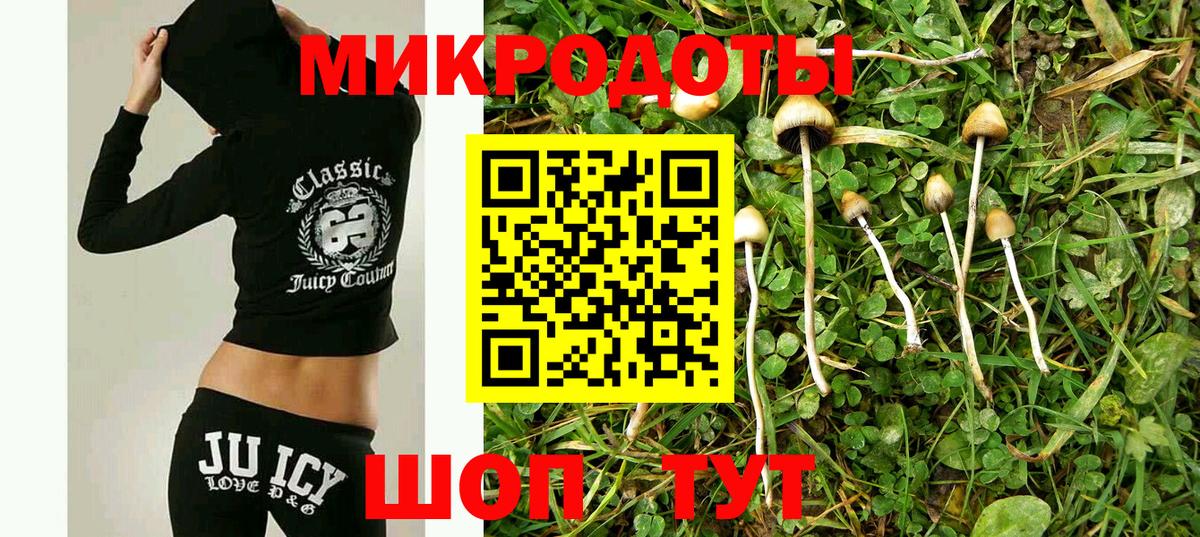 Галлюциногенные грибы ЛСД Раменское